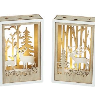 Light up Forest scene
